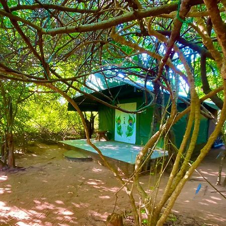Yala Podi Hoona Bush Camp Hotel Bagian luar foto