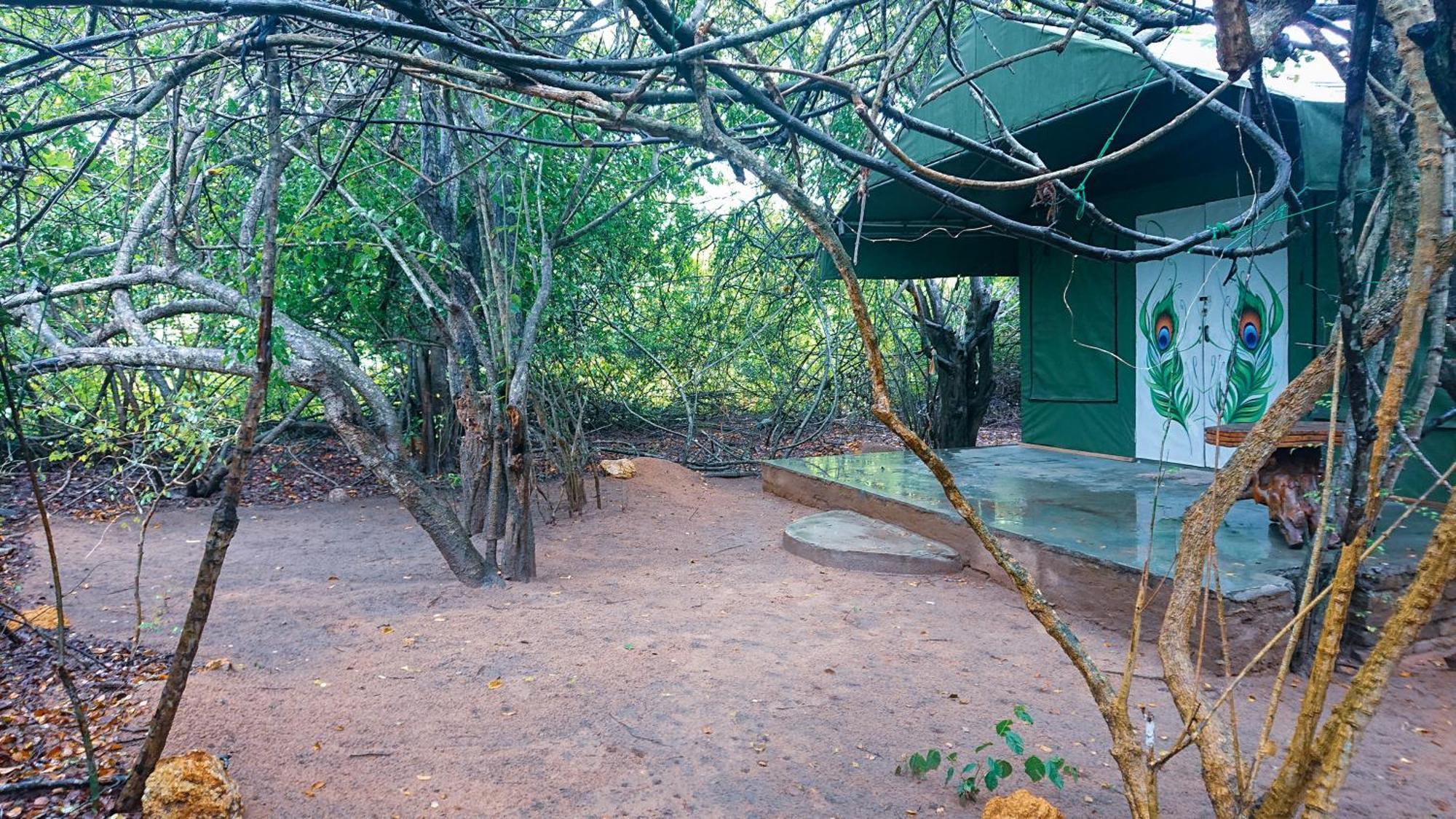 Yala Podi Hoona Bush Camp Hotel Bagian luar foto