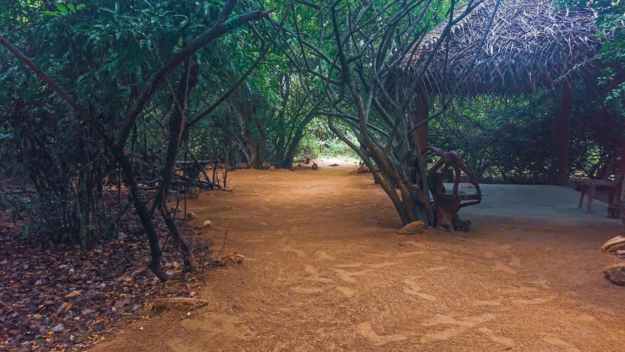 Yala Podi Hoona Bush Camp Hotel Bagian luar foto
