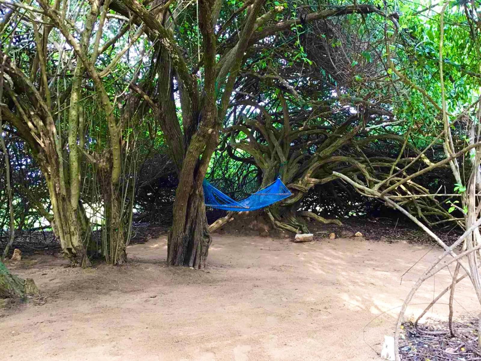 Yala Podi Hoona Bush Camp Hotel Bagian luar foto