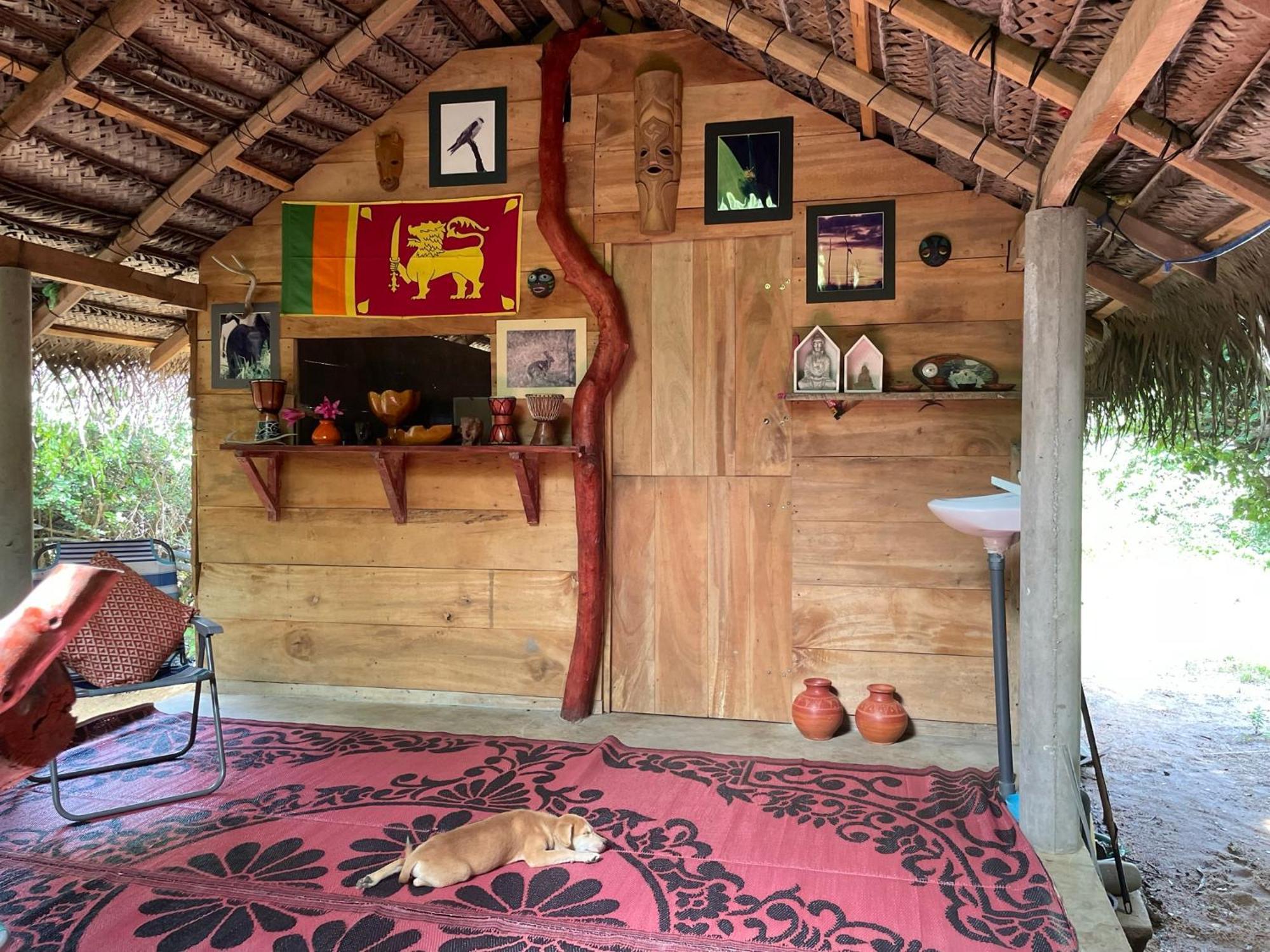 Yala Podi Hoona Bush Camp Hotel Bagian luar foto
