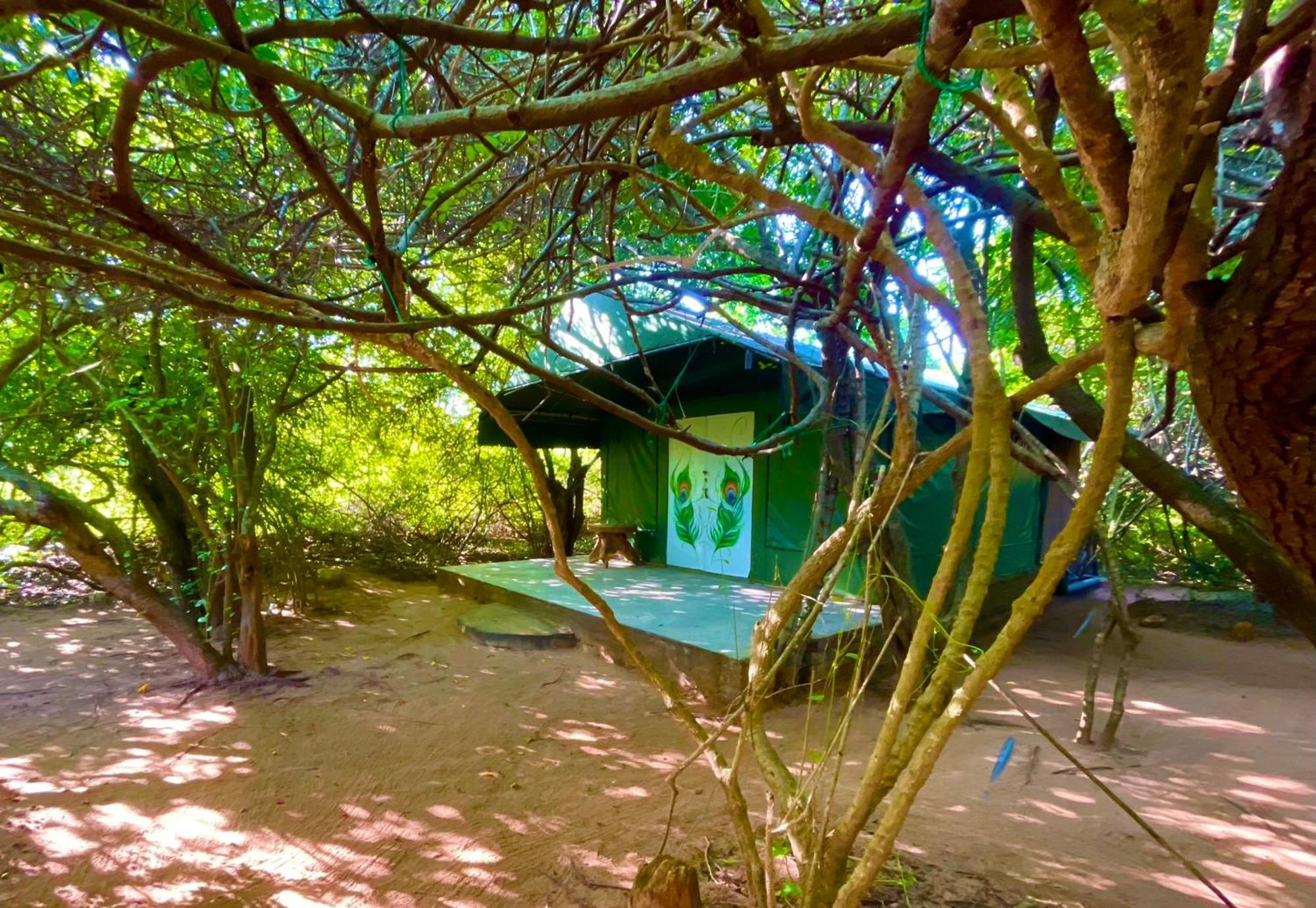 Yala Podi Hoona Bush Camp Hotel Bagian luar foto